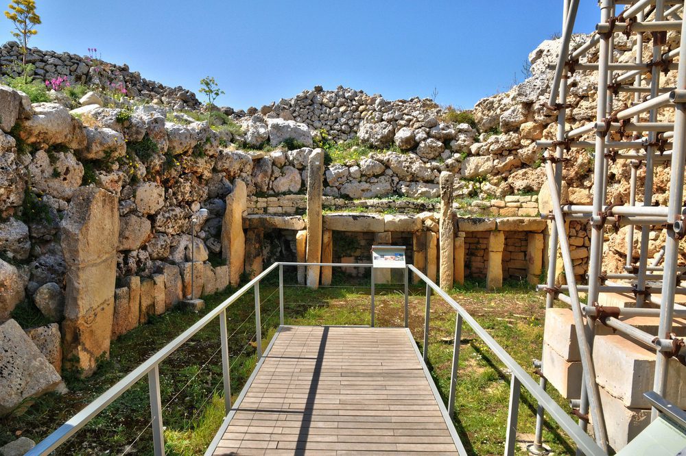 The path to the ancient Ġgantija Complex s, flanked by rugged limestone walls and wild Mediterranean shrubs. The ground is paved with uneven, sun-bleached stones. On either side, low rubble walls—built in the same honey-toned globigerina limestone as the temples. In the distance, the massive twin temples rise like silent sentinels, their curved façades and colossal boulders (some weighing over 50 tons) dwarfing approaching visitors. 