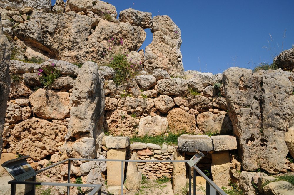 The path to the ancient Ġgantija Complex s, flanked by rugged limestone walls and wild Mediterranean shrubs. The ground is paved with uneven, sun-bleached stones. On either side, low rubble walls—built in the same honey-toned globigerina limestone as the temples. 