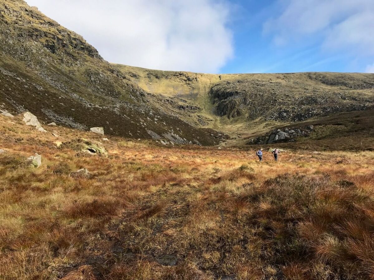 Liffey Head bog