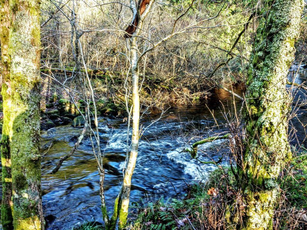 The Annamoe River in the wicklow mountains seen rushing downstream through a thicket of trees