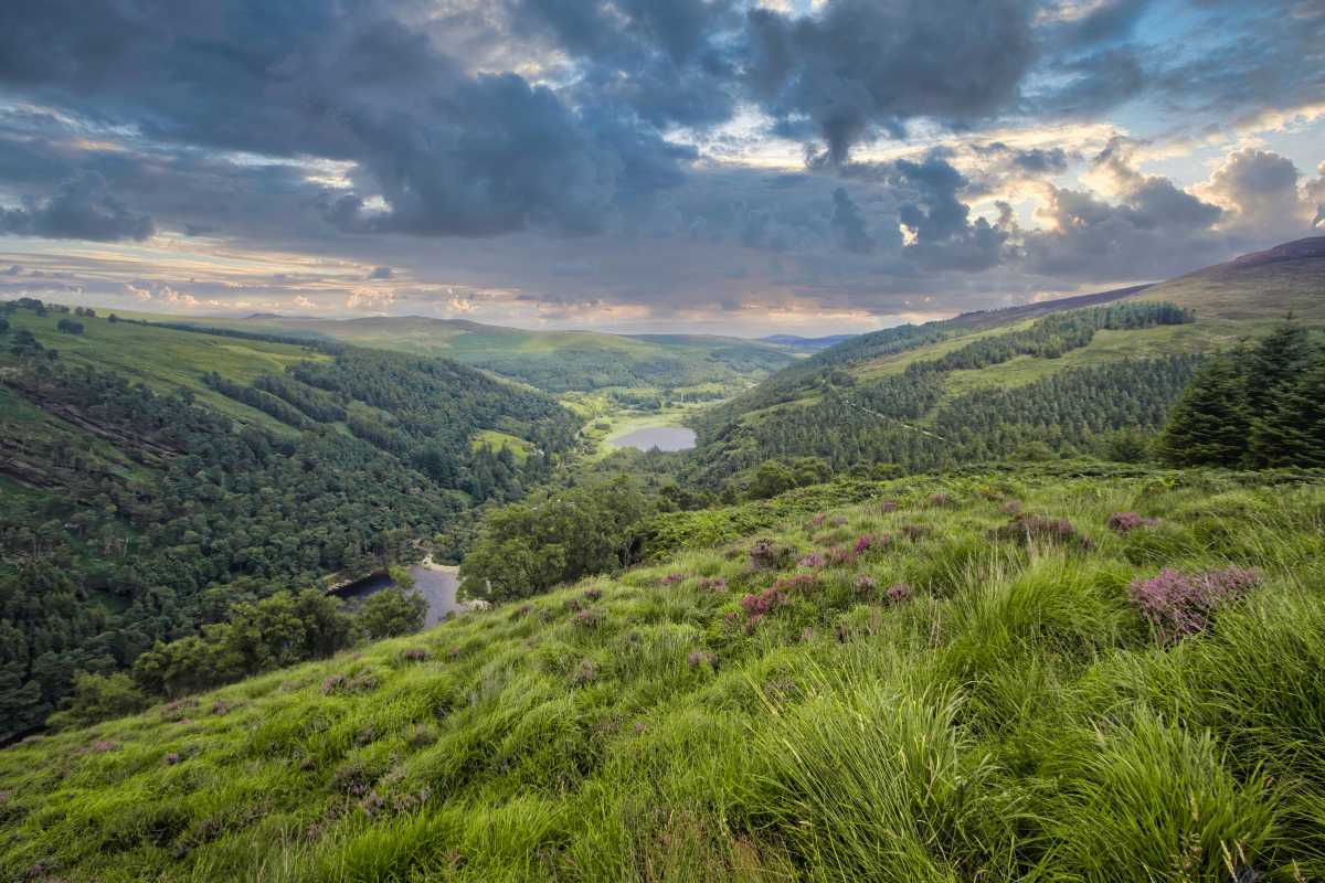 TheWicklow Mountains soft rounded peaks in green of ancient mountains in Ireland