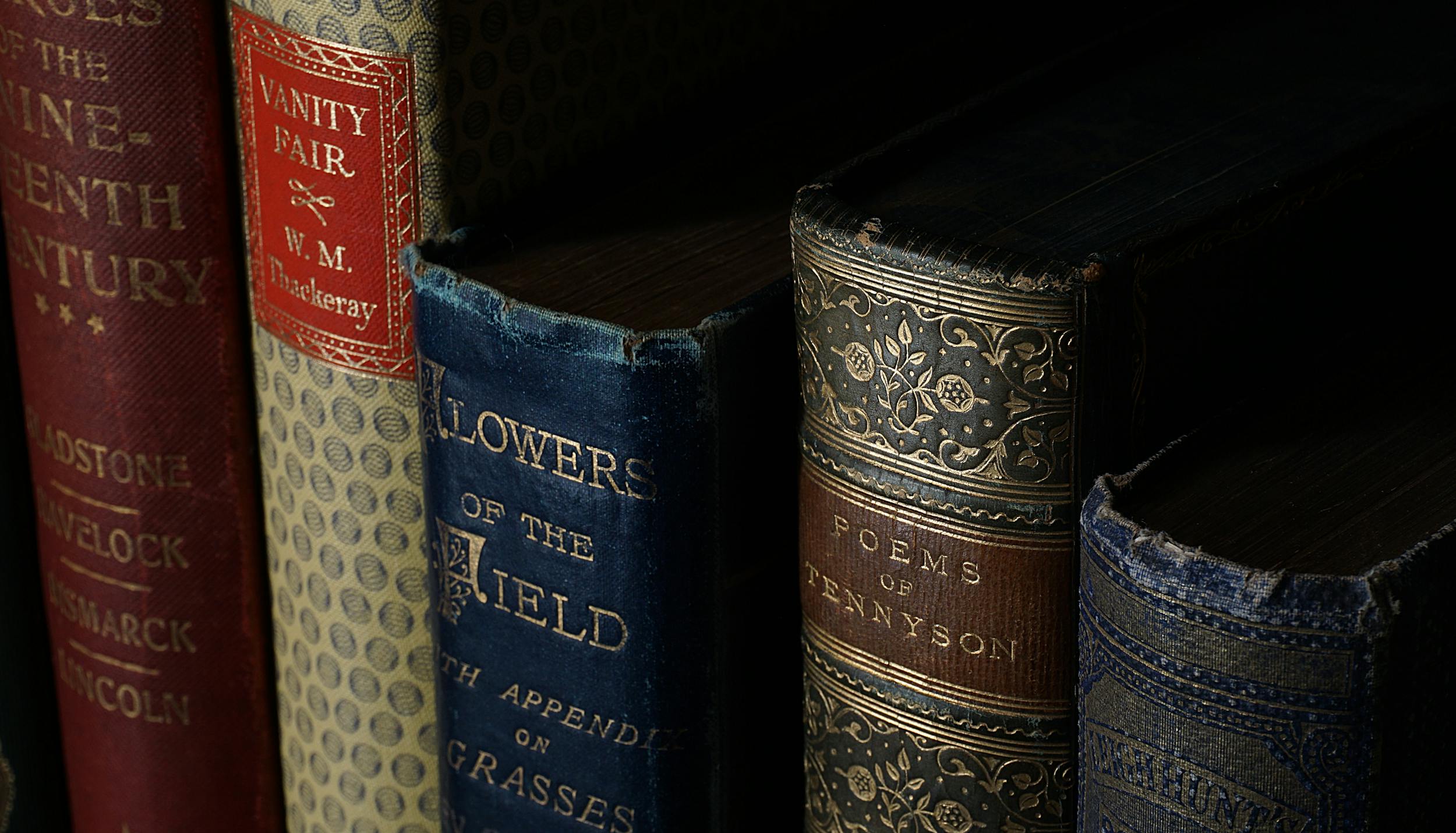 Close-up of vintage classic books with ornate covers on a bookshelf. Ideal for literature lovers.
