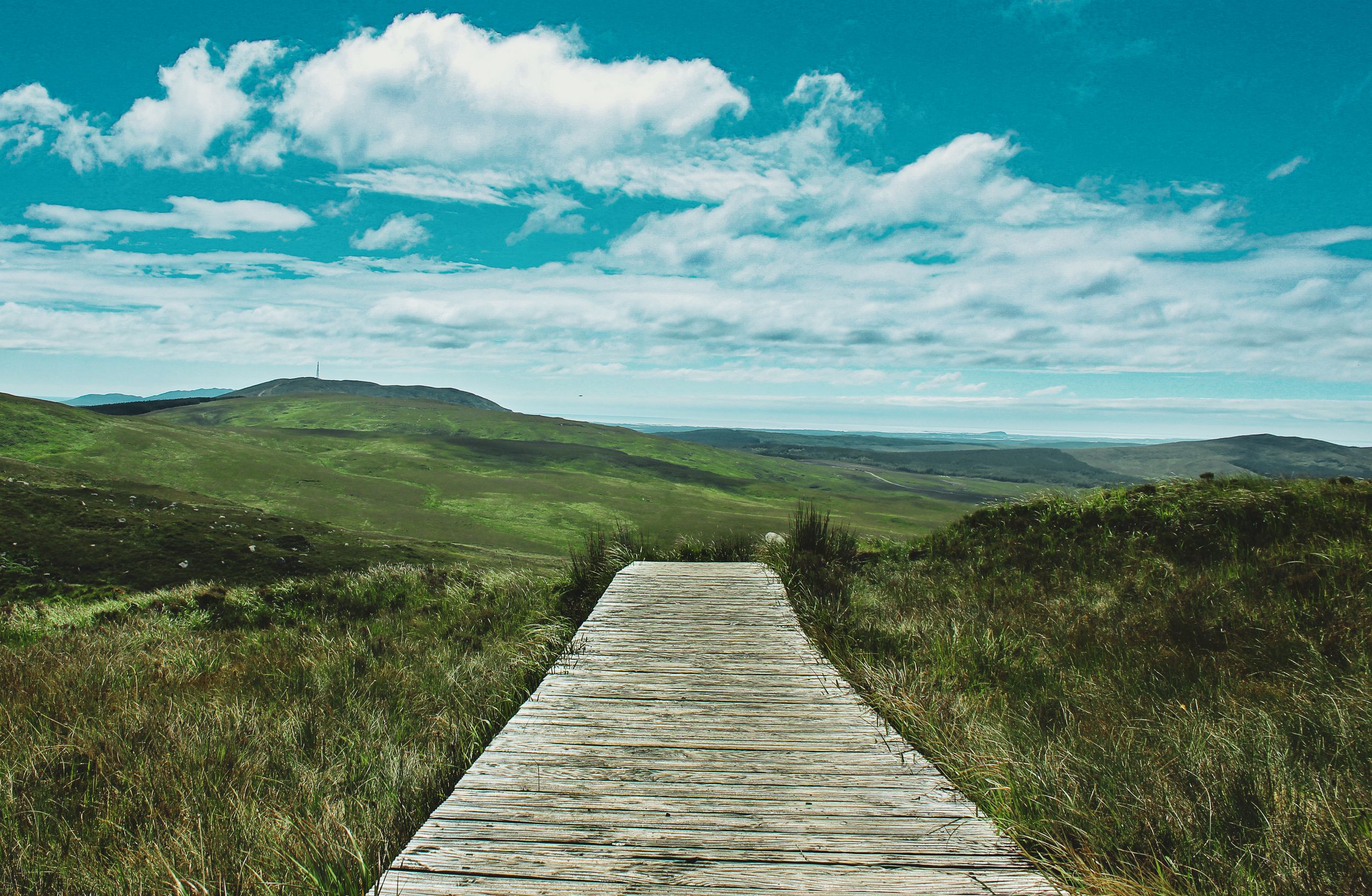 Explore the serene beauty of a wooden pathway cutting through Ireland's lush green landscape.