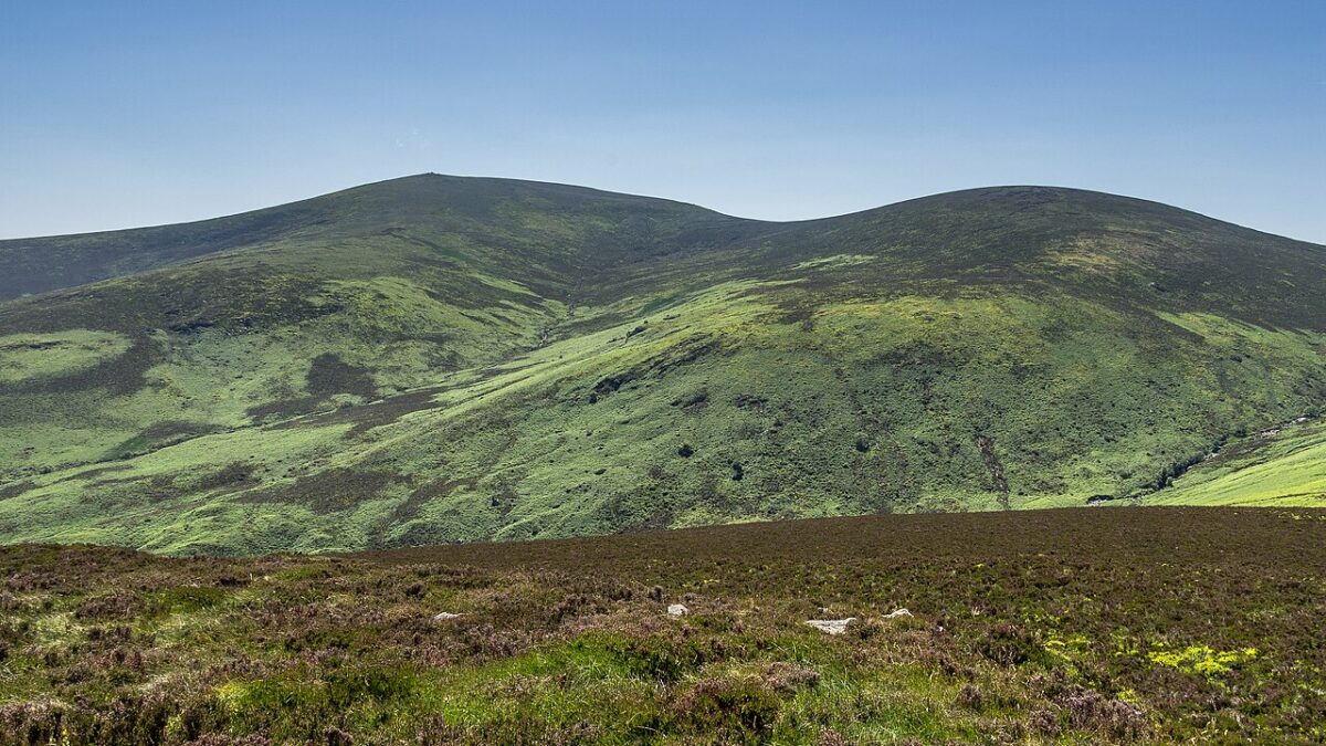 Green, rolling hills under a clear blue sky feature patches of dark vegetation and a foreground of low-lying brush.