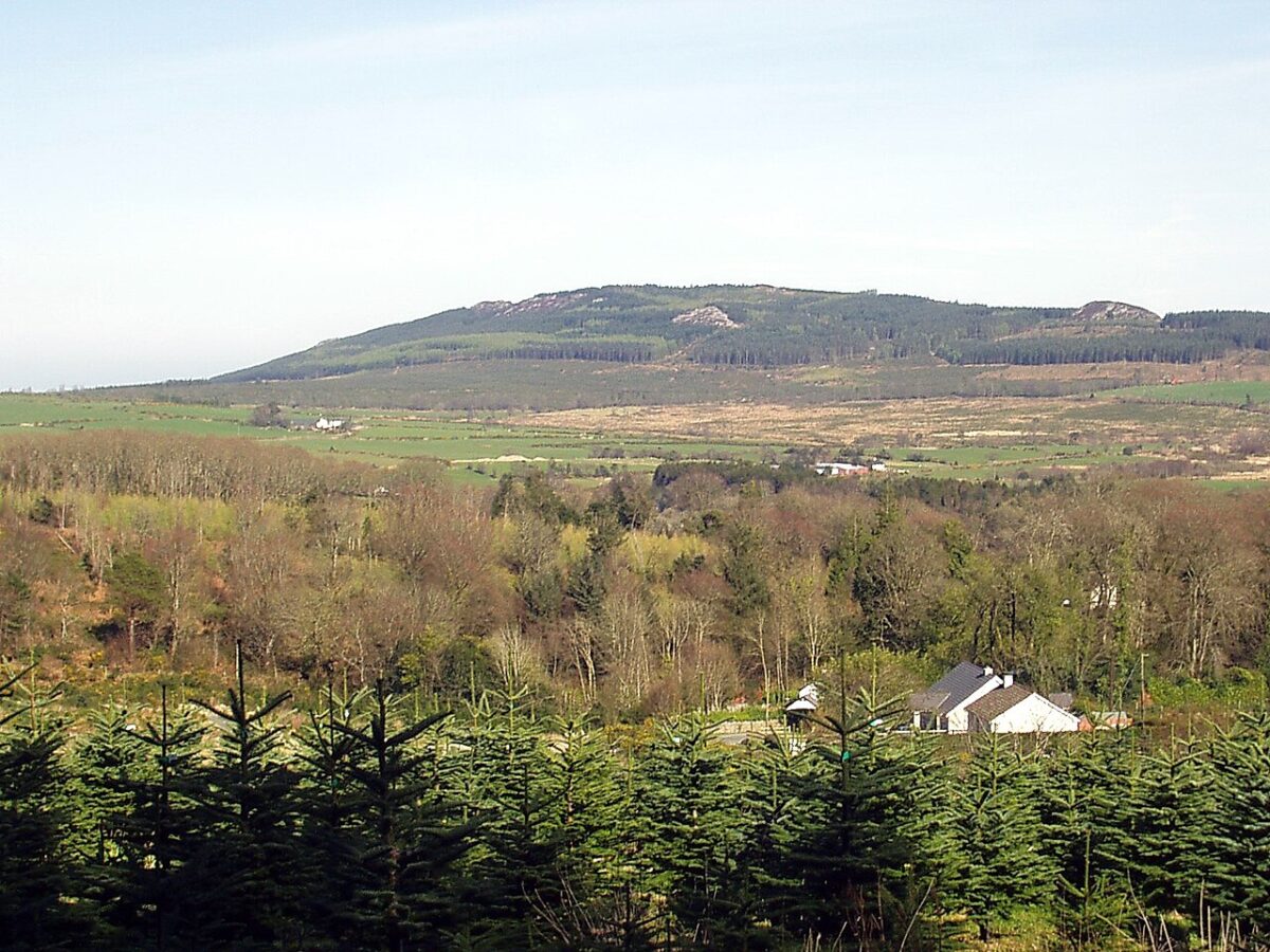 A rural landscape features a foreground of small evergreen trees, a wooded valley, and a large hill under a clear sky.
