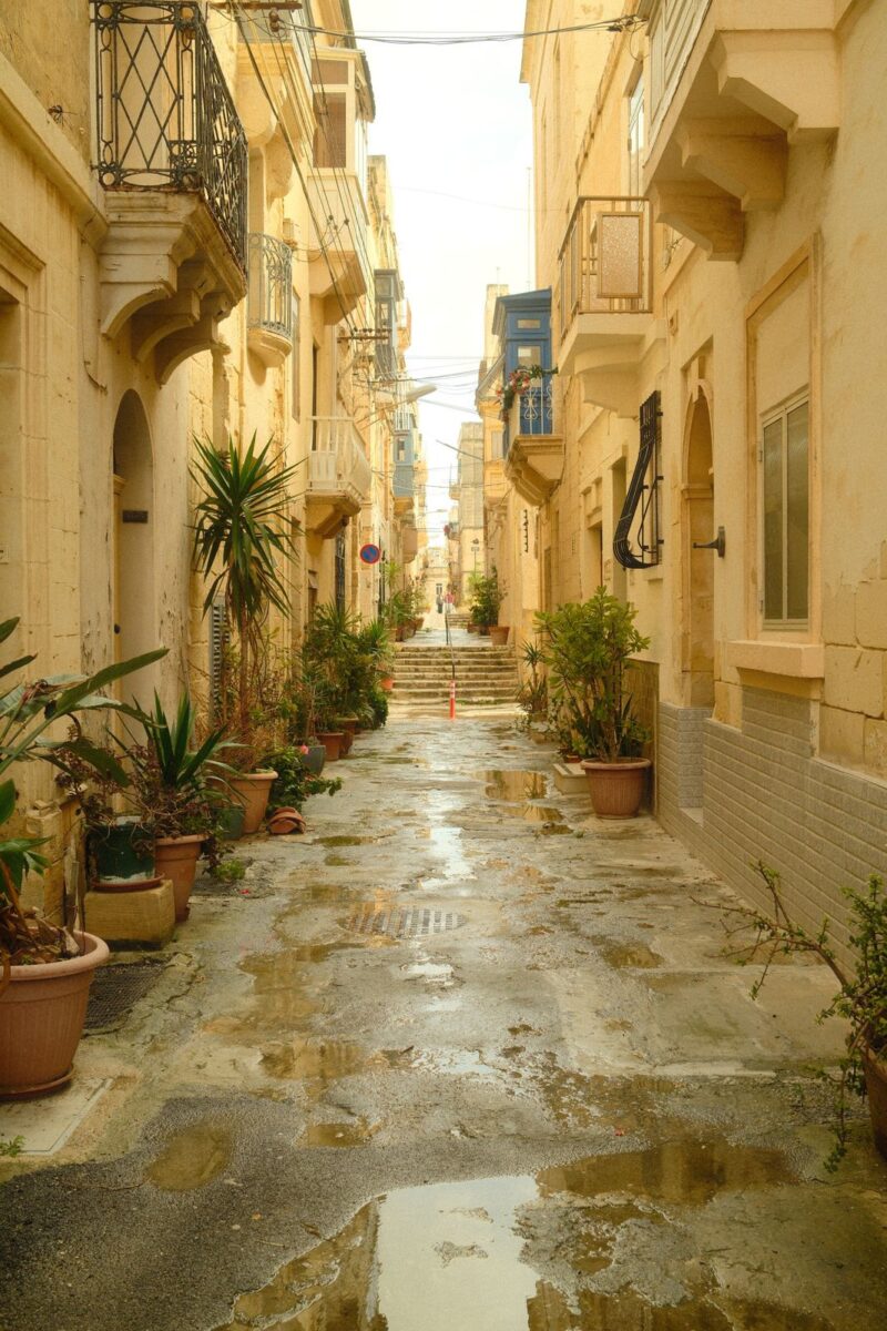 Explore a picturesque narrow street in Malta, lined with potted plants and classic architecture, under a golden light.