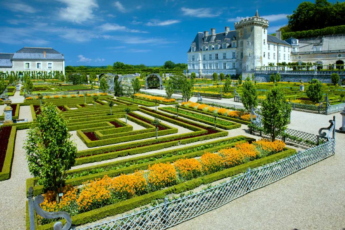 Château de Villandrys formal Renaissance gardens with geometric hedges and vibrant orange flowers under a blue sky.
