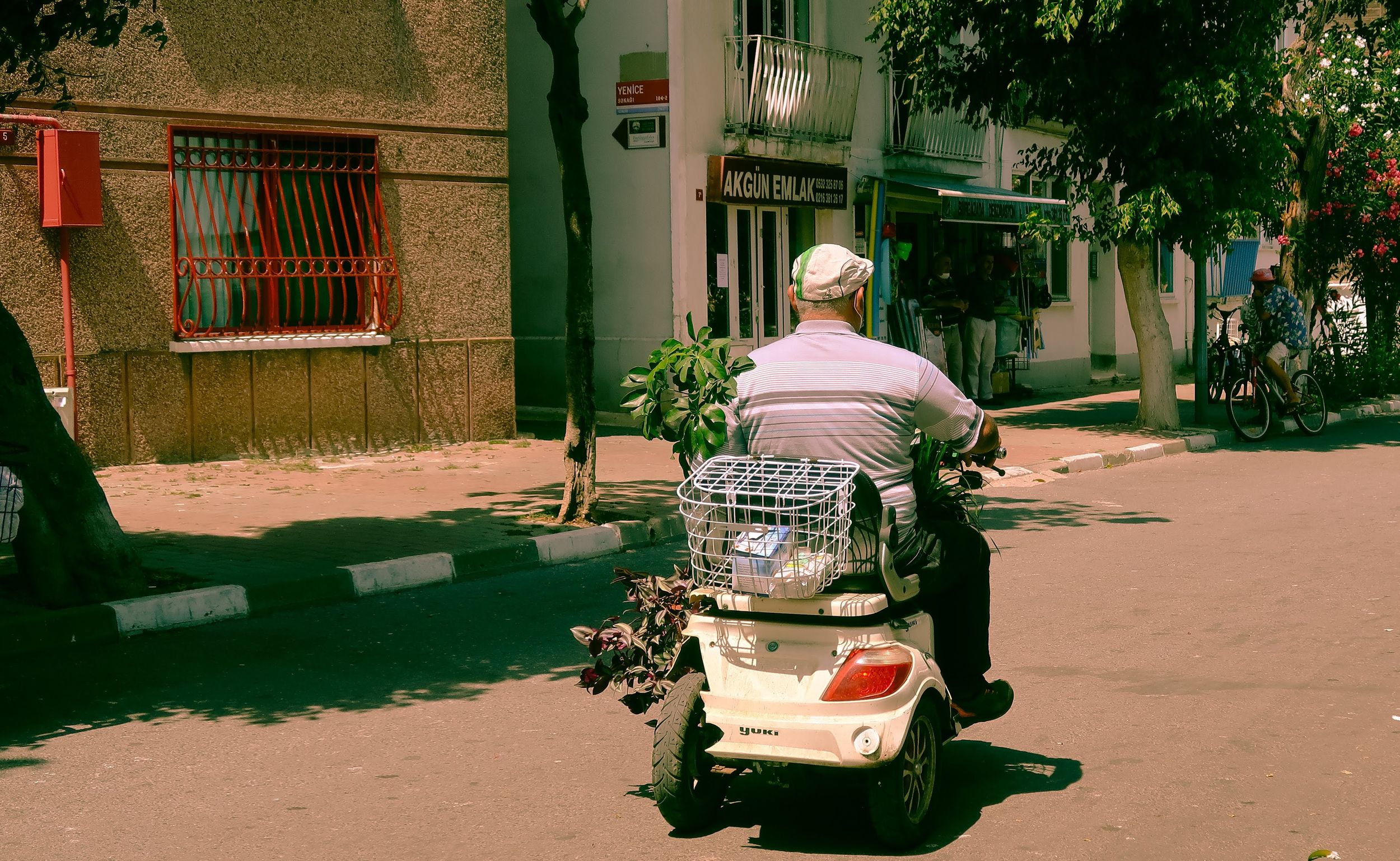 A senior man rides a mobility scooter down a sunny street with plants in the rear basket.