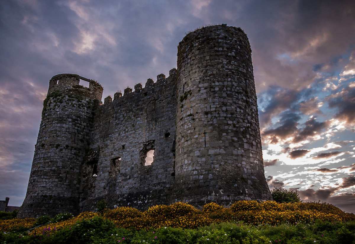 A stone castle ruin with two towers stands against a cloudy sky above a patch of yellow flowers.
