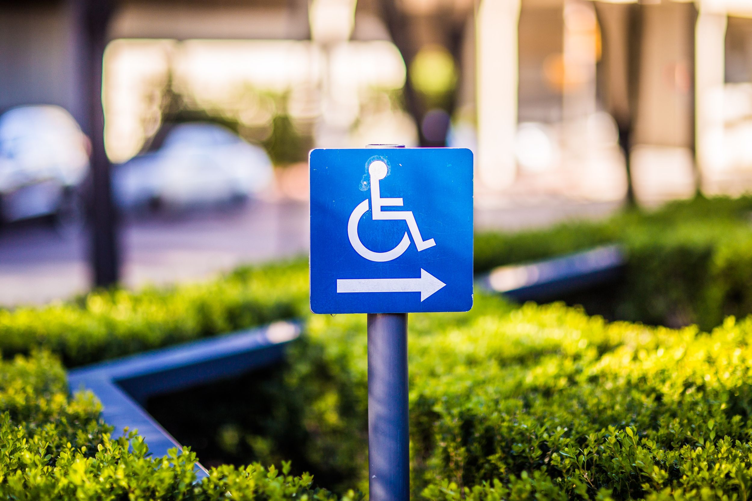 Blue accessibility sign with a white wheelchair symbol and arrow pointing right, surrounded by green bushes.