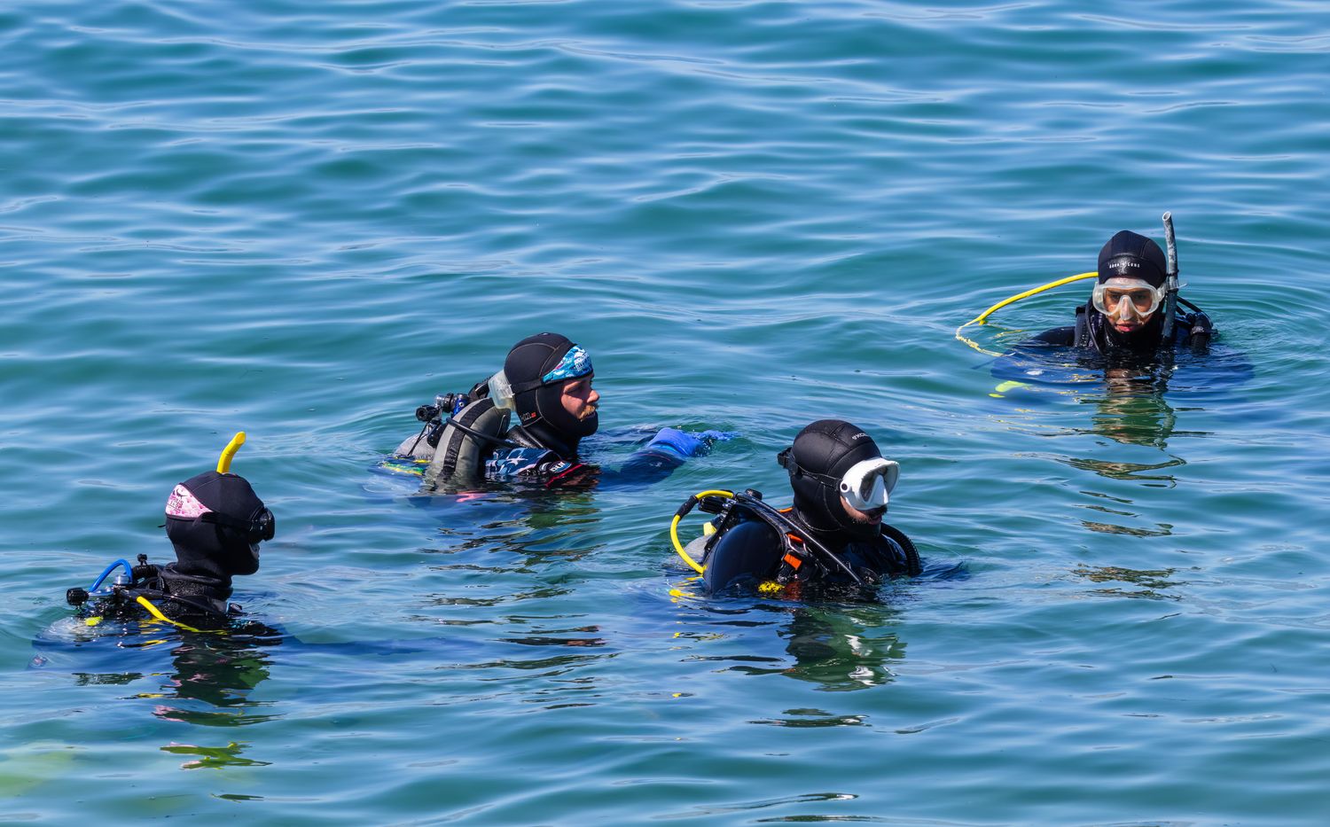 A group of four scuba divers in wetsuits on the ocean surface preparing for a dive.