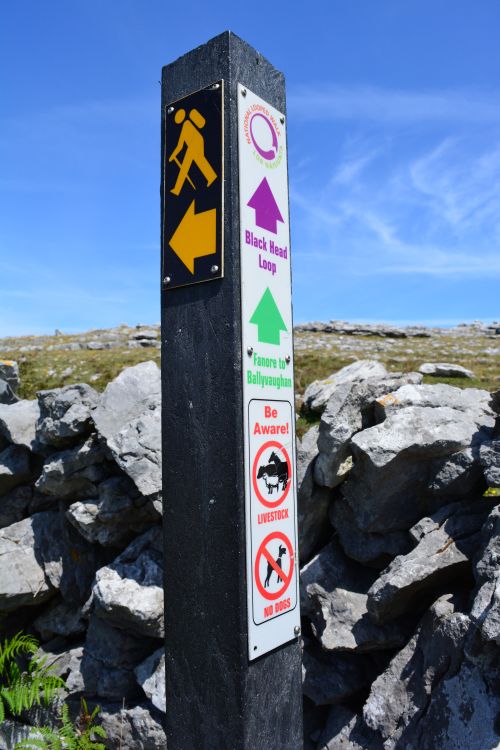 black head loop signage
