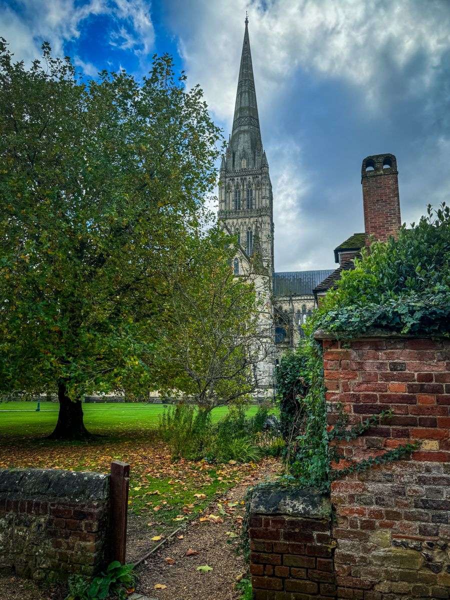 Capture of Salisbury Cathedral spire surrounded by greenery and fallen leaves, showcasing medieval architecture in an autumn setting.