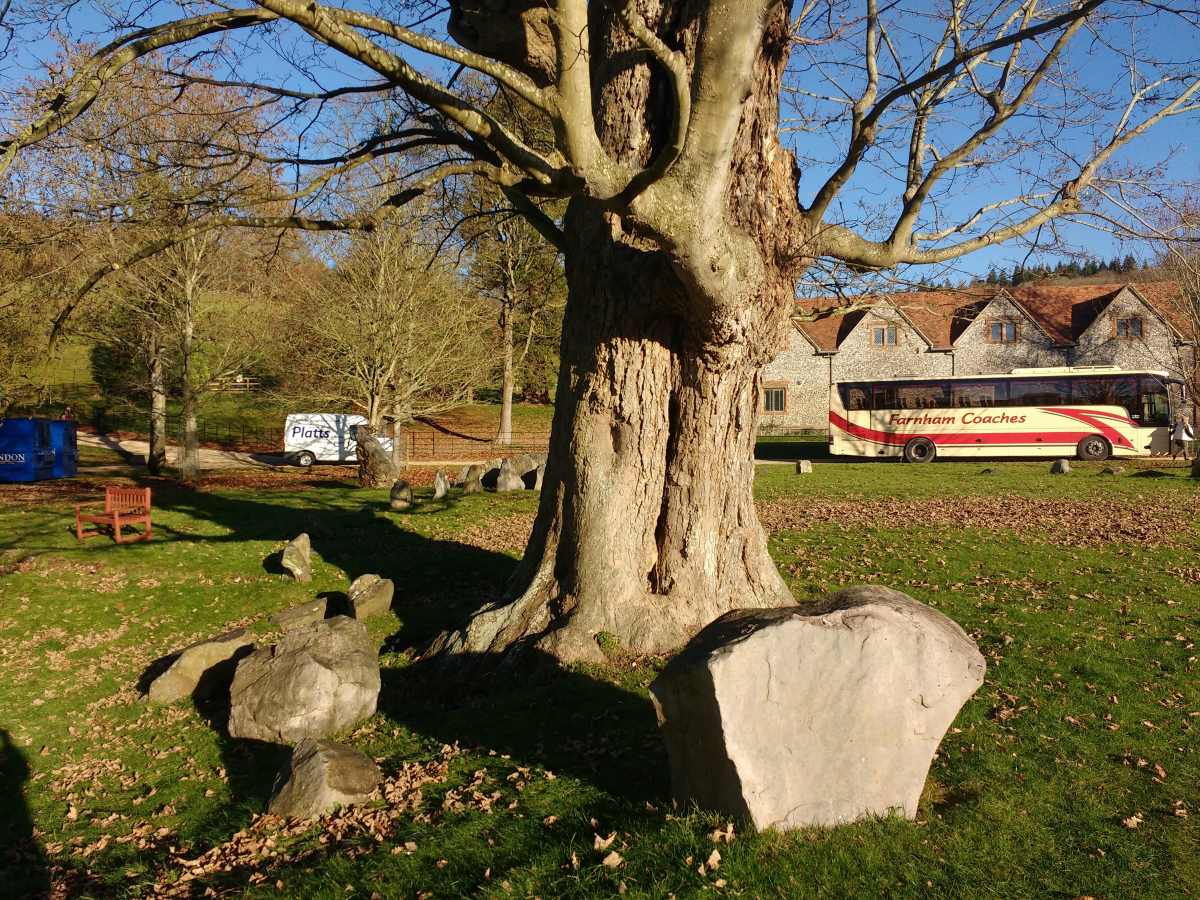 A large tree stands in a grassy area with scattered rocks, a coach, a van, and a stone building in the background.