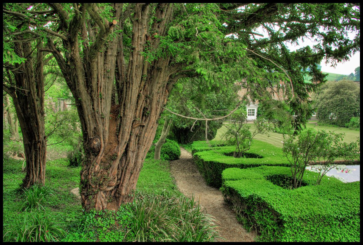 A gravel path winds through a garden with large, textured trees and manicured hedges near a small pond.