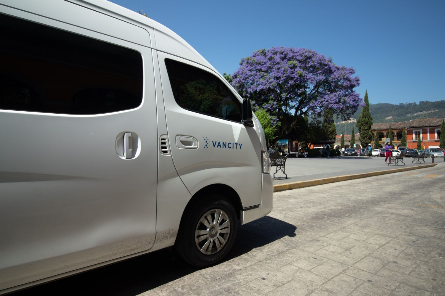 White van parked outdoors on a sunny day near a stunning purple-flowered tree.